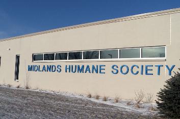 Midlands humane society council bluffs ia cvs health benefits for employees